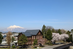 校内の桜
